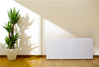 低碳钢暖气片十大品牌gavinjs远销欧洲