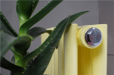 家用暖气片图片,gavinjs家用暖气片图片