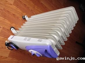 gavinjs