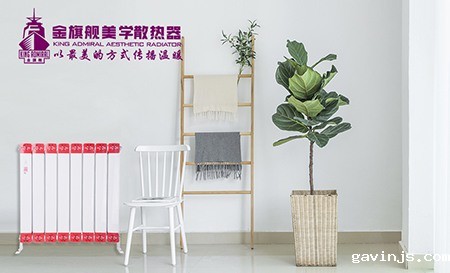 低碳钢暖气片